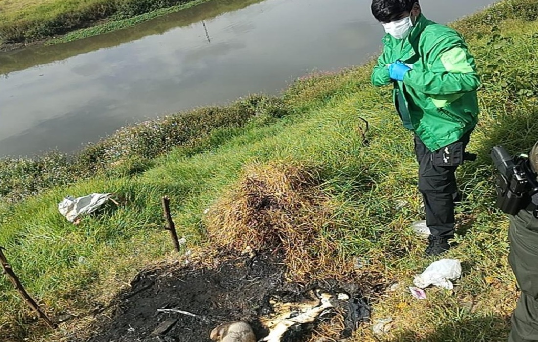 2026011 - incinerada